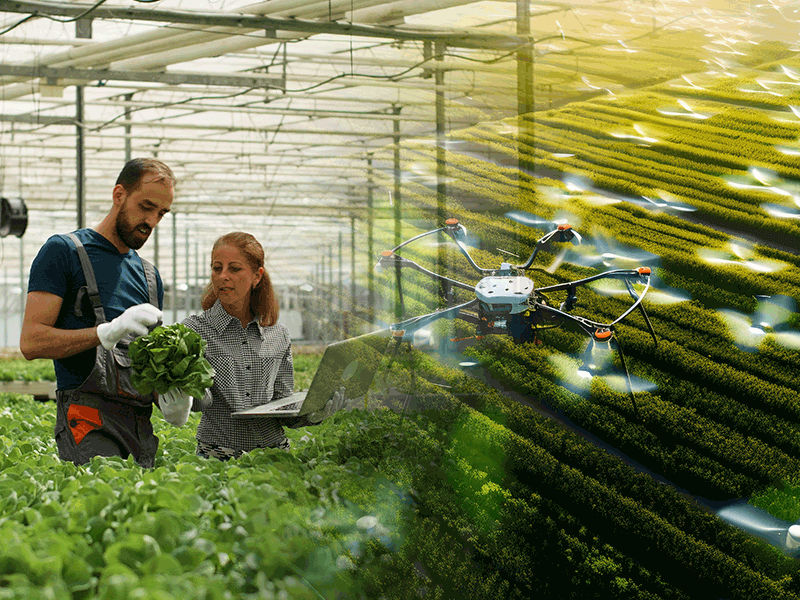  Agriculture & Food Industry