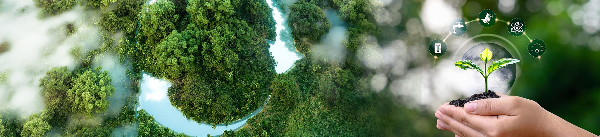 From Greenwashing to Genuine Sustainability—How Procurement Can Ensure Authenticity in ESG Claims